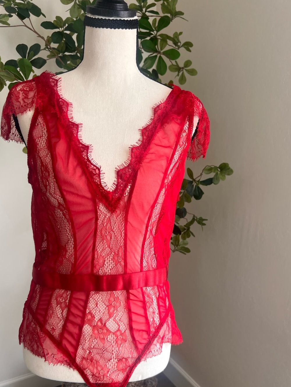 Oh La La Cheri Women’s Red Sexy Eyelash Lace Teddy Size 1X